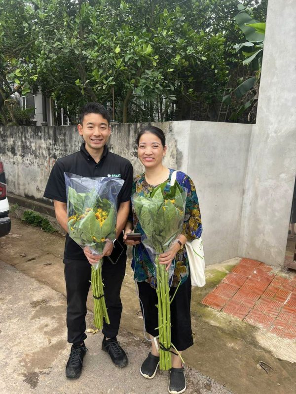 Bộ giống hướng dương 068 Lucky - Hướng Dương cắt cành nhà vườn - Hình ảnh 6